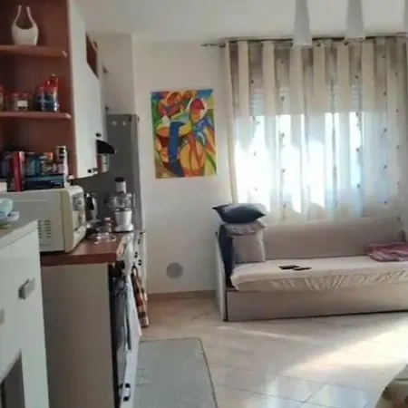 Elegante Centro Apartment Turin